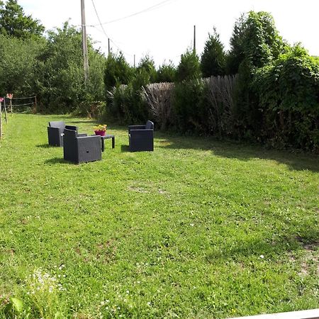 Au Paradis Des Crins Studio Rez De Chaussee Avec Jardin Et Un Autre Studio En Duplex Avec Terrasse Apartment Templeuve-en-Pevele Bagian luar foto