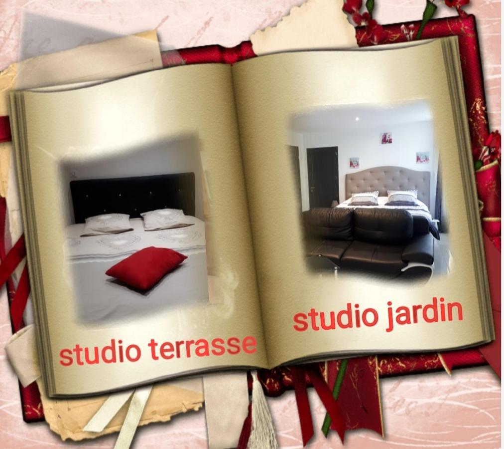 Au Paradis Des Crins Studio Rez De Chaussee Avec Jardin Et Un Autre Studio En Duplex Avec Terrasse Apartment Templeuve-en-Pevele Bagian luar foto