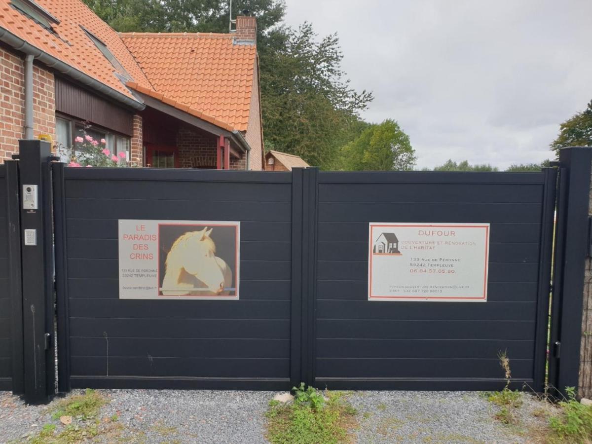 Au Paradis Des Crins Studio Rez De Chaussee Avec Jardin Et Un Autre Studio En Duplex Avec Terrasse Apartment Templeuve-en-Pevele Bagian luar foto